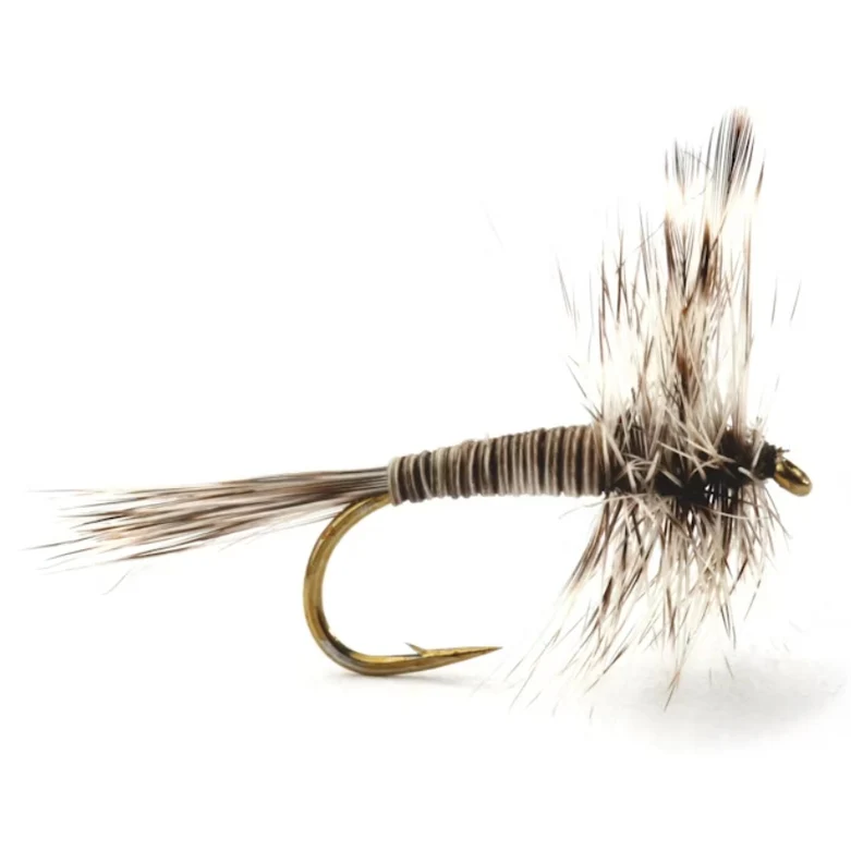 Mosquito