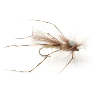 CDC Daddy Long Legs