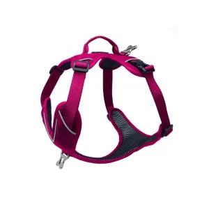 Hundesele KYFLIE Momentum
