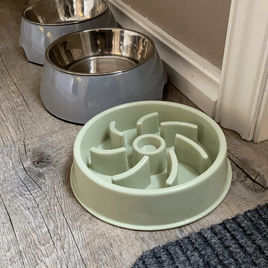 Slow feeder til hund - Image 5