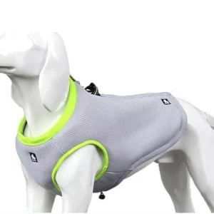Kjølevest for hund – Sikker avkjøling i sommervarmen